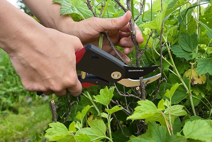 Hand Pruner Professional Sharp Bypass EZ-Cut Garden Pruning Shears -Comfort Plus Handheld Gardening Tools Pruner,Rust Proof Blades Clippers/Scissors /- Shock Absorber + Cushion