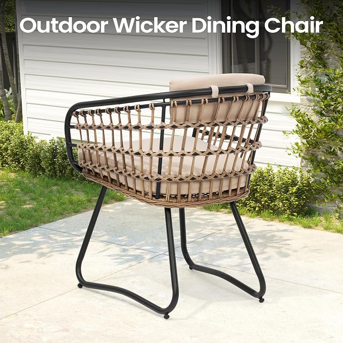 Pellebant 11-piece Outdoor Dining Set for 10 Person - Weather-Resistant Patio Dining Furniture, 116" Aluminum Outdoor Table with Umbrella Hole, Wicker Chair with Cushion for Deck, Porch, Backyard