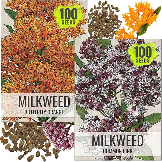 Seed Needs Milkweed Seeds for Planting Butterfly Orange/Common Pink Asclepias Flowers - Heirloom Wildflowers to Attract Monarch Butterflies to a Butterfly Garden (2 Pack Duo)