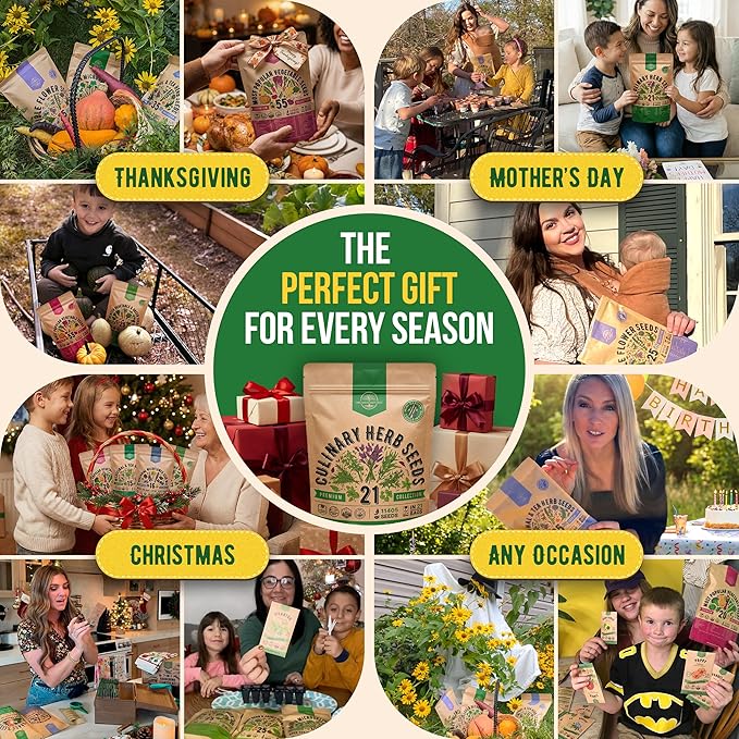 21 Culinary Herb Seeds Variety Pack - Heirloom, Non-GMO, Herb Seeds for Planting Outdoor and Indoor - Home Gardening. Over 11,400+ Seeds Including Rosemary, Thyme, Oregano, Mint, Basil, Parsley & More