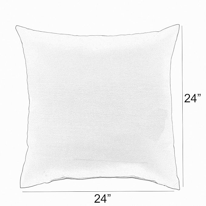 Sorra Home x Sunbrella Indoor/Outdoor Pillow, Surround Sunrise